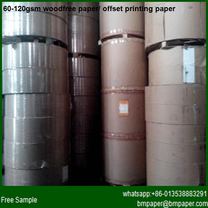 Quality wood free paper supplier wholesale