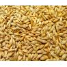 Buy cheap Barley shelling machine / Barley sheller /Barley huller from wholesalers