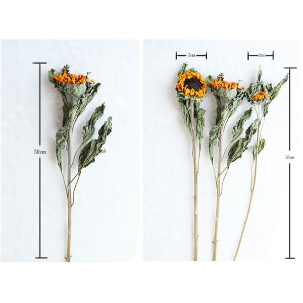 golden yellow 50cm Air Drying Sunflower Room Decor Bunches