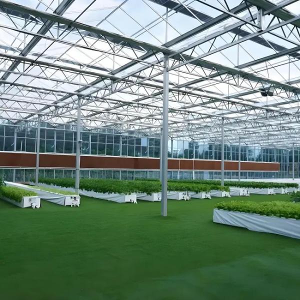 Venlo Glass Greenhouse for Pepper Cultivation High - Transparency