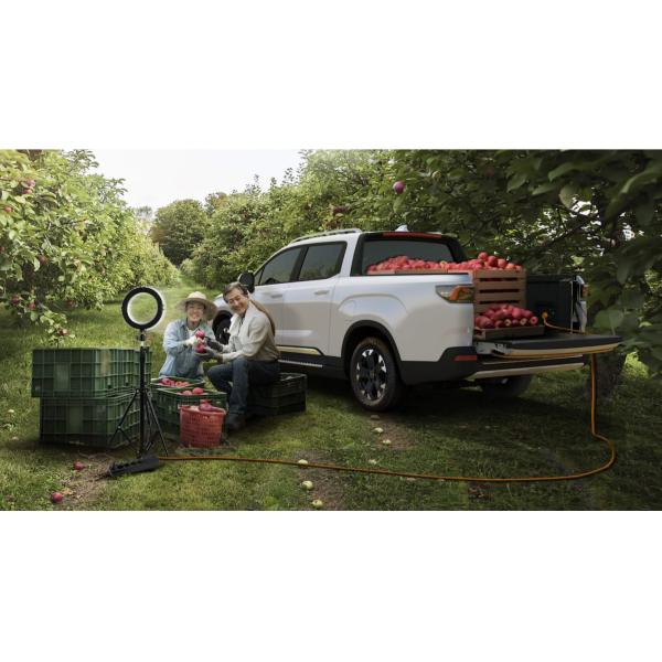 Commercial Chinese Full Electric Pickup Car EV Fast Charging 4WD RADAR RD6