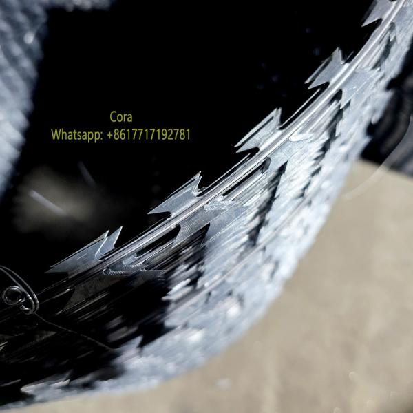 Factory Supplied Concertina Hot Dipped Galvanized Razor Blade Wire BTO-16 For Ukraine Border Protection Fence