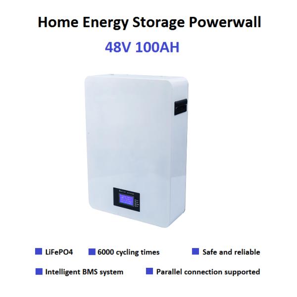 Wall Mounted Lithium Ion LiFePO4 Battery Pack 5KWh 48V100Ah Powerwall For Home Solar Energy System