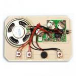 Light sensor Recordable Sound Module chip for greeting card with ROHS certificat
