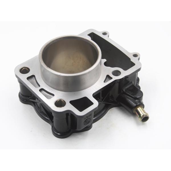Water Cooled Motorcycle Cylinder Block 200cc Displacement For Bajaj Pulsar 200ns