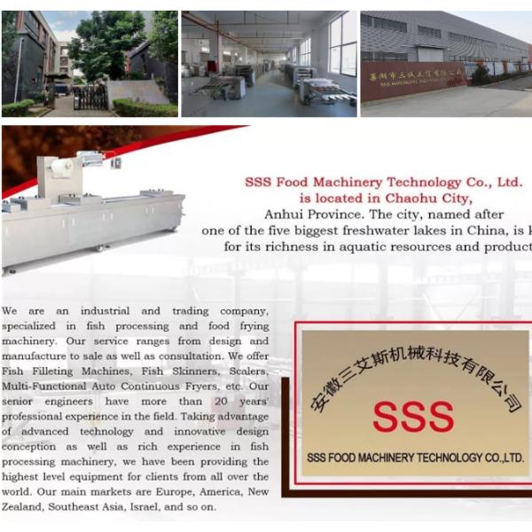 Sanaisi Mango Fruit Processing Line Stainless Steel