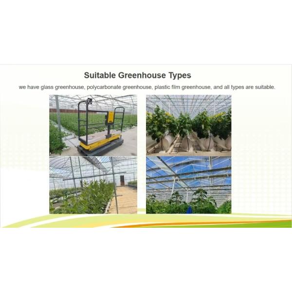 Anti Reflective Automatic Venlo Glass Greenhouse With Agricultural Farming Systems