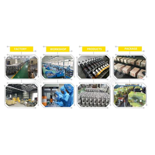 3042378 Generator Diesel Engine Oil Pump CECC NT 855 Cummins Oil Pump