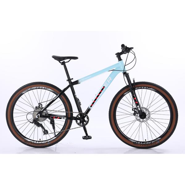 9 10 12 Speed Bicycle Custom Bicicleta OEM Bisiklet XC Mountainbike for Man Alloy Cycle MTB Bike 29 Inch Mountain Bike