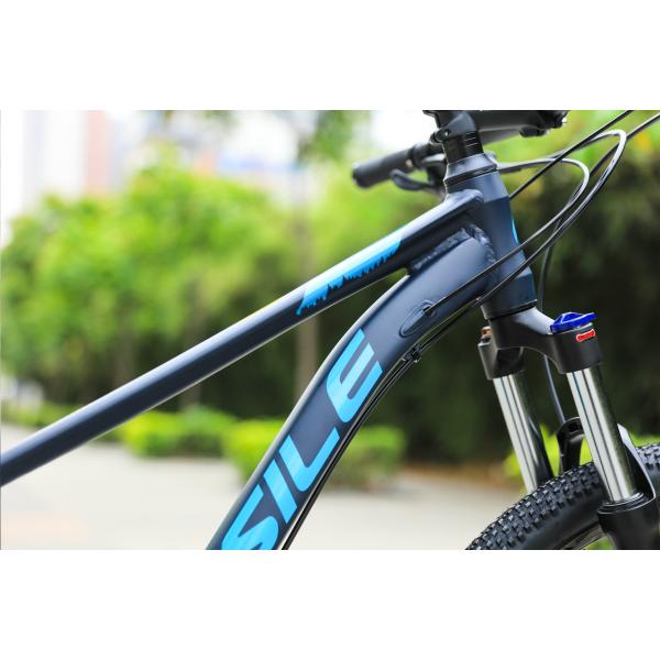 Teenager Christmas Gift 24 Speed Mountain Bike with Titanium Frame and Durable Design
