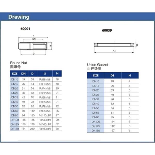 SMS,DIN,IDF standard stainless steel 304 316L sanitary forged union for beer pipe line