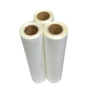 Quality 60cm Inkjet Hot Peel Dtf Film Roll Hot Peel Heat Transfer Film 24inch wholesale