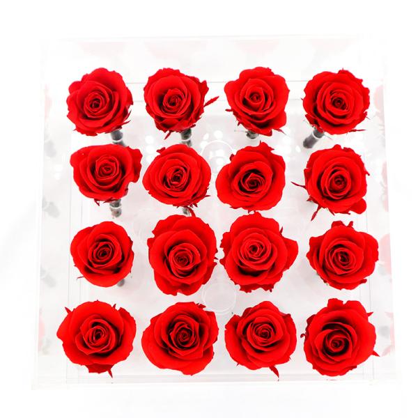 Handmade Preserved Roses Live , Real Touch Flower Decoration For Wedding Reception
