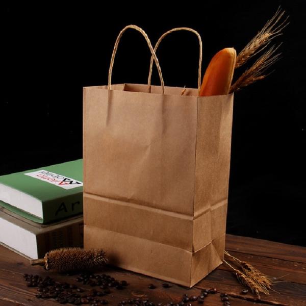 Color Printed Eco friendly kraft paper Carrying Shopping Bags with handles