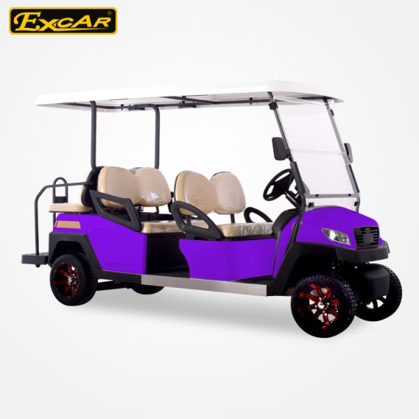 6 Seater Fuel Type Electric Passenger Car Purple With Italian Axle