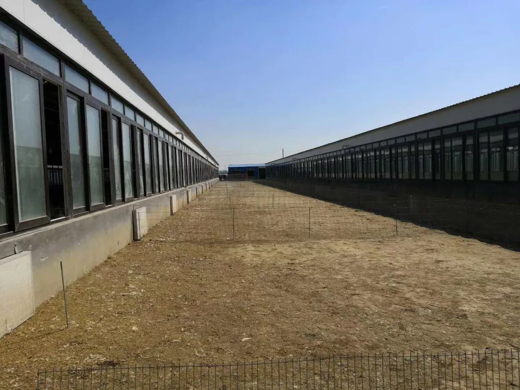 CE Livestock Farm House Steel Structure Chicken House And Equipment For Chicken