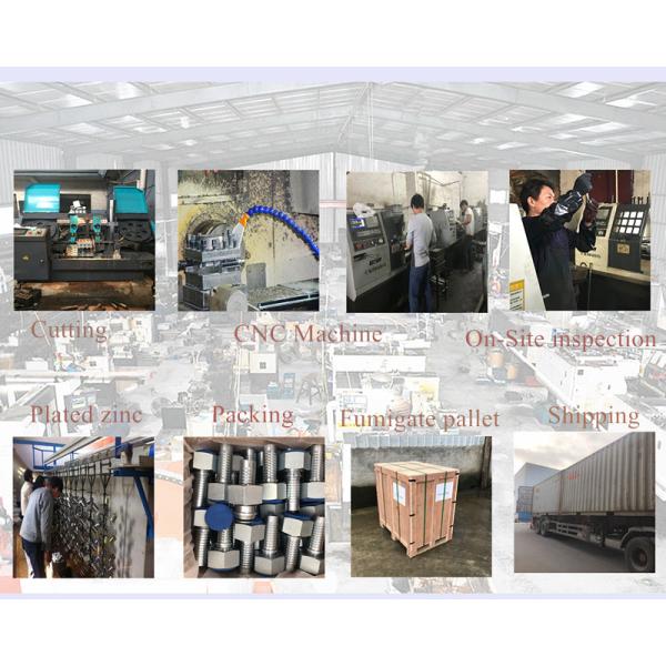 Hydraulic Metric Threaded 73079900 Braided Hose Fittings