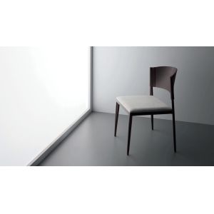 Modern Ale Living Room Chairs / Contemporary Restaurant Dining Chairs