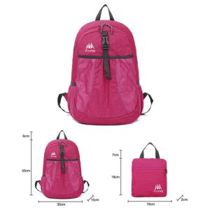 Quality simple backpack Folding bag wholesale
