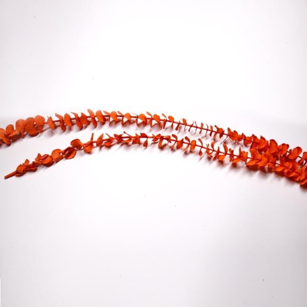 Customized Natural Preserved Foliage For Gift / Wedding / Home / Shop