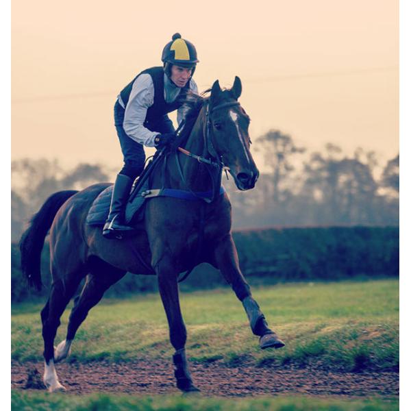 Customized Logo Horse Riding Vest Body Protection Damping Safety Sports Equestrian Clothing