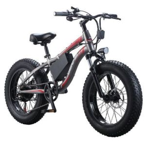 Quality Aluminum 20 Inch Fat Tire Electric Bike 750 Watt wholesale