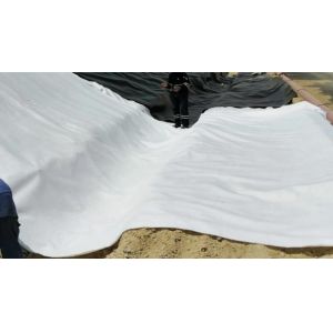 Quality Nonwoven Polypropylene Filament Geotextile Mat Geosynthetic Fabric ASTM wholesale