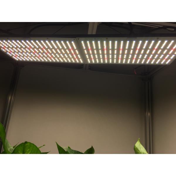 Waterproof Meanwell DriverUV LED Grow Lights Flowering Orsam 660nm WiFi-Controlled 2.7umol/J