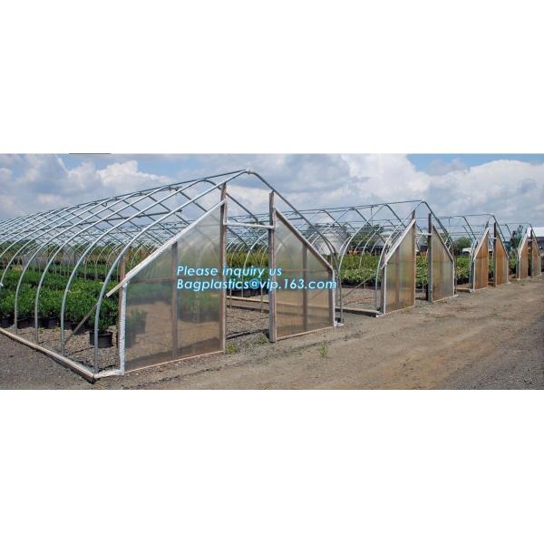 PE protective film customized green house for agriculture anti frost,Venlo Glass Agricultural Green house, SUPPLIES, PAC