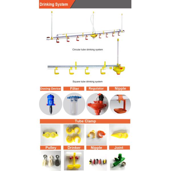 22mm Square Pipe Poultry Farm Chicken Nipple Drinker System
