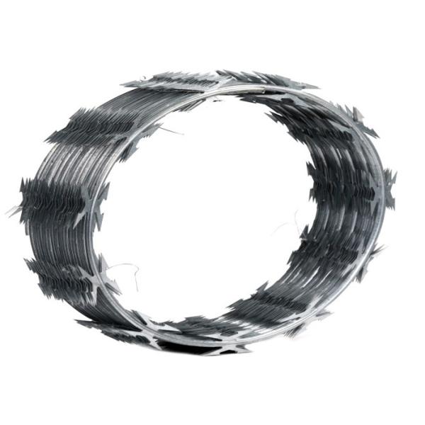 700mm Roll Diameter Razor Barbed Wire Cbt-65 Hot Dipped Galvanized