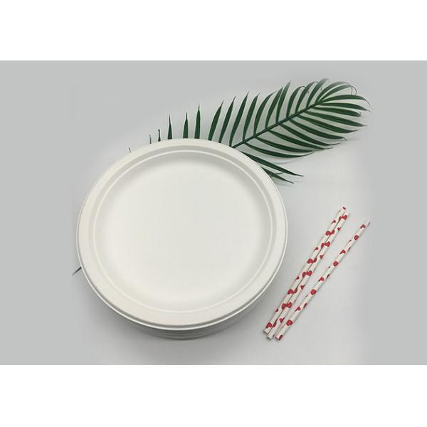 10" 20g Bar Biodegradable Sugarcane Bagasse Plates