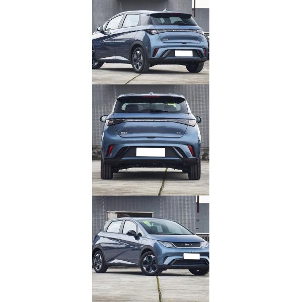 Mini Energy Electric Vehicle BYD Dolphin 2025 With R19 Tires And Electric Rear Window