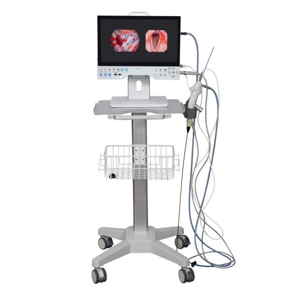 15 Inch FHD Camera System Compatible Flexible And Rigid Endoscope Professional Manufacturer