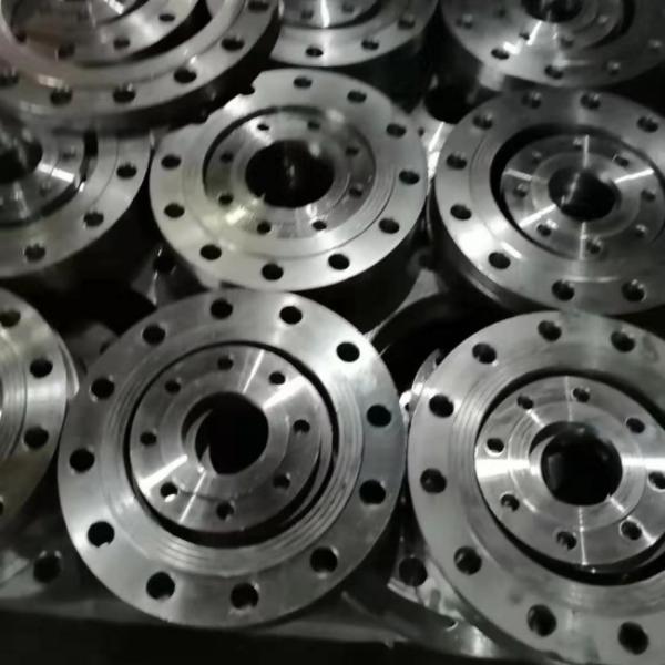 Forged Stainless Steel Flange PN10/16/25 Ss Plate Flange