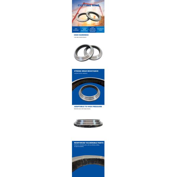 Pump Cutting Rings DN200-260 for Putzmeister Schwing Concrete Pumps