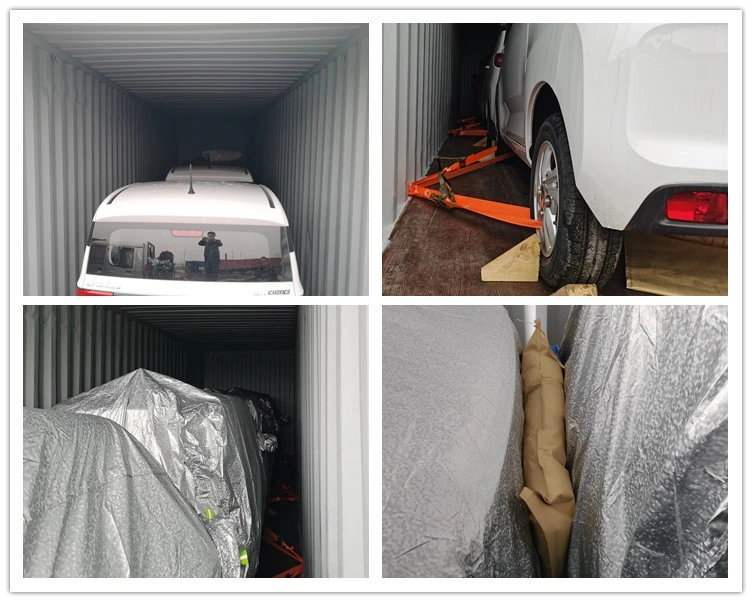 Raysince factory hot sales model 5 door electric car adult vehicle 4 Seats electric vehicles for sale