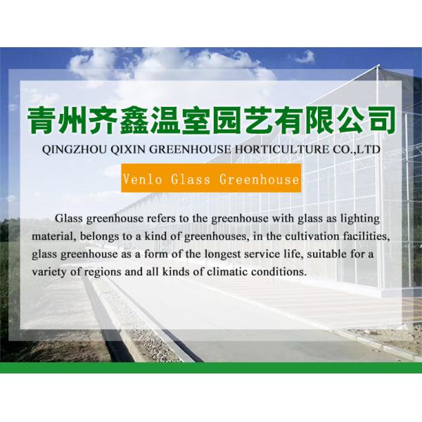 Large Glass Covered Garden Greenhouses for Versatile Planting Options