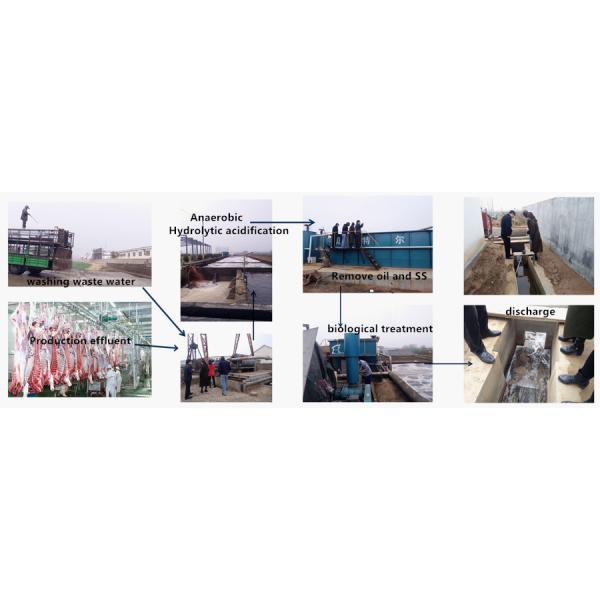 3000L/Hour Cattle Chicken Poultry Halal Meat Processing Mobile Wastewater Treatment Plant for Slaughterhouse