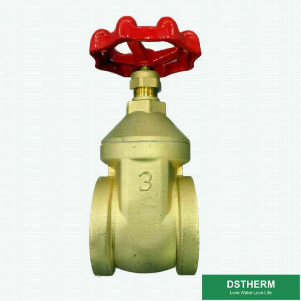 3 Inch Flexible Brass Gate Valve With Plastic Ppr Part PN25