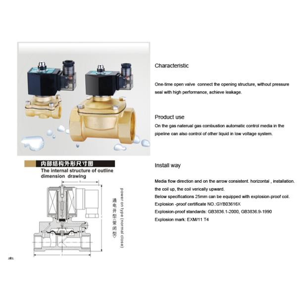 AFK Brass Solenoid Valve For Lpg Gas Line , 20MM Marine Lpg Solenoid AC220V
