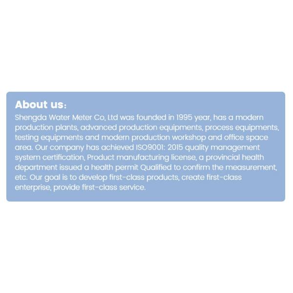 Smart Woltman Water Meter Lorawan Programmable Water Meter Brands