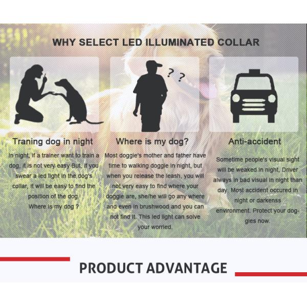 LED Light Waterproof Dog Band Pet Collar Flashing Light Band Safety Leashes Belt