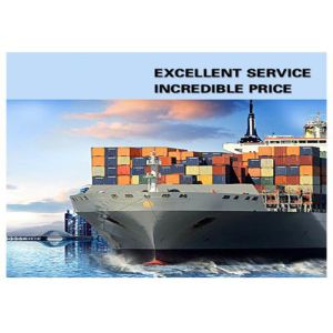 Quality Container Shipping From China To Oceania Freight Forwarder wholesale
