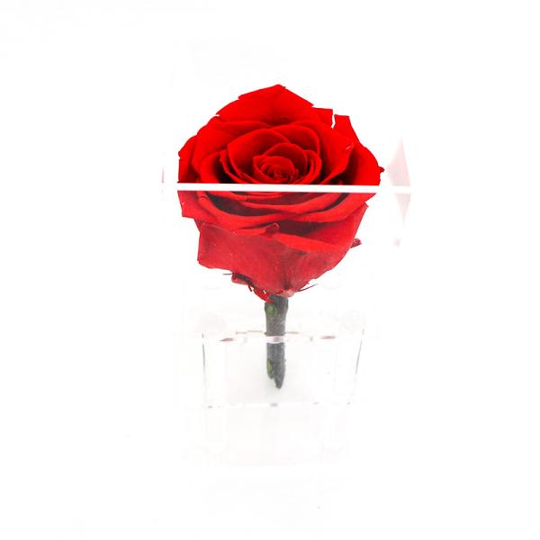 Handmade Preserved Roses Live , Real Touch Flower Decoration For Wedding Reception