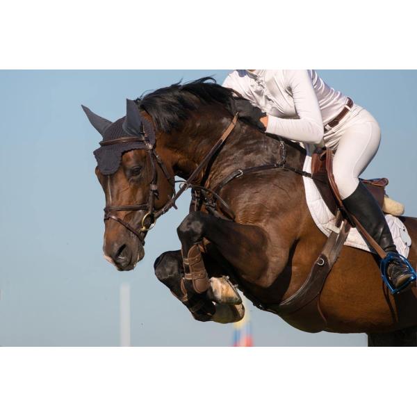 Certified Black 2XL Equestrian Vest in Foam Padded Texture for Outdoor Horse-Riding