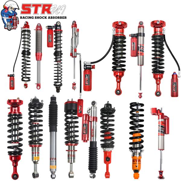 4 Way Adjustable Piggyback Coilover Shock 10"-16" DSC Shock Dual System