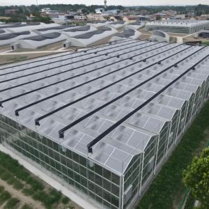 Quality Hot Sale Smart Galvanized Steel Venlo Greenhouse For Agriculture wholesale