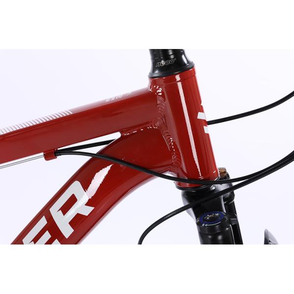 9 10 12 Speed Bicycle Custom Bicicleta OEM Bisiklet XC Mountainbike for Man Alloy Cycle MTB Bike 29 Inch Mountain Bike