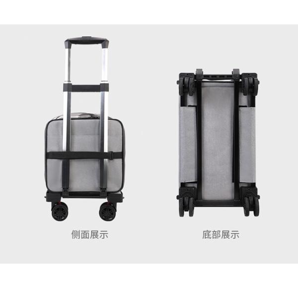 PC ABS Material Portable Pet Travel Bag Convenient Hand-Carry for Cats and Small Dogs on the Go Feeding Time Reminder Included